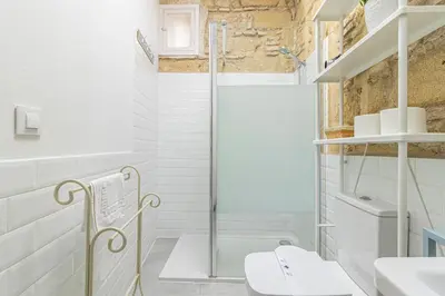 a bathroom with a shower and a toilet at Allo Apartments Amargura I Centro Loft in Jerez de la Frontera