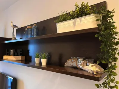 a shelf with potted plants on top of it at La Gaviota & Parking privado Grupo AC Gestion in Cádiz