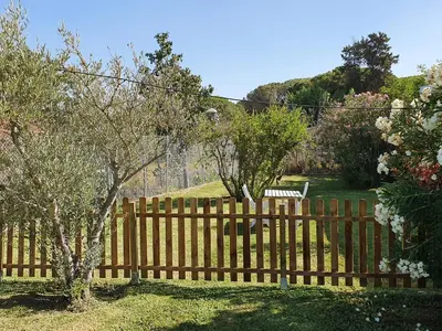 a wooden fence in a yard with trees at Casa Rural El Pinar de Jesus in Arcos de la Frontera