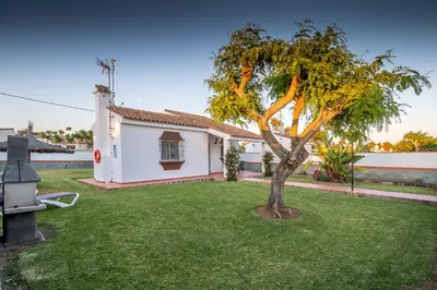 a tree in a yard in front of a house at Chalet Pedro I in Conil de la Frontera