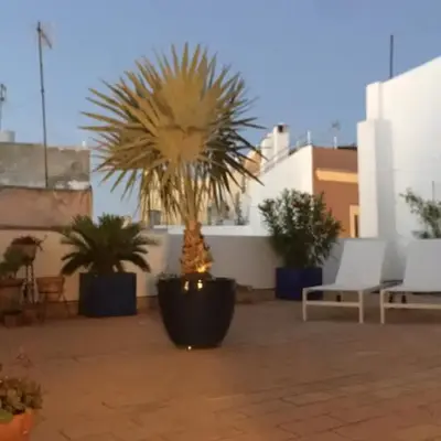 La terraza de San Pedro