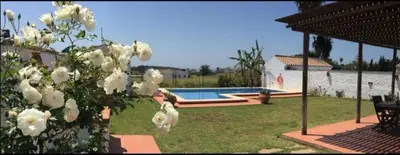 a tree with white flowers next to a swimming pool at Casa la gitanilla in Conil de la Frontera
