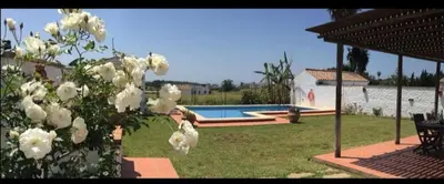 a bush with white flowers next to a swimming pool at Casa la gitanilla in Conil de la Frontera