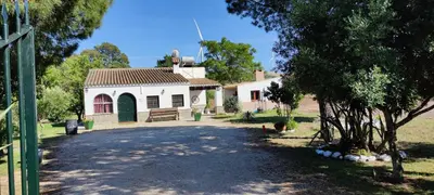 a white house with a tree and a driveway at Casa Rural El Romeral in Medina Sidonia