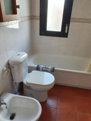 a bathroom with a toilet and a tub and a sink at Coto la Campa in Chiclana de la Frontera