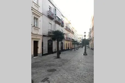 an empty city street with palm trees and buildings at Apartamento Plaza Viuda in Cádiz