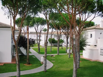 a row of trees in a park with buildings at Apartamento La Barrosa, Chiclana in Chiclana de la Frontera