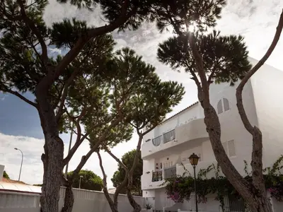 a white building with trees in front of it at Pinar de Don Jesus Sagitario in Campano
