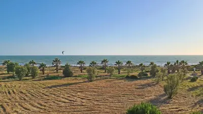 a kite flying over a beach with palm trees and the ocean at Casa Don Camilo Costa Ballena in Costa Ballena