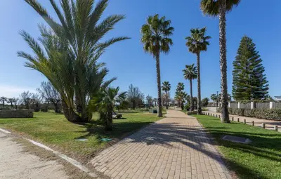 a brick path with palm trees in a park at Casa Don Camilo Costa Ballena in Costa Ballena