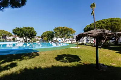 a swimming pool with a palm tree and an umbrella at La Almadraba in Chiclana de la Frontera