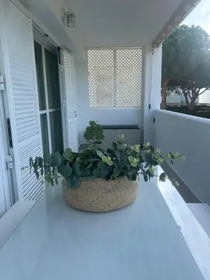 a potted plant sitting on the porch of a house at Novo Sancti Petri - Playa, Piscina, Golf y Relax in Chiclana de la Frontera