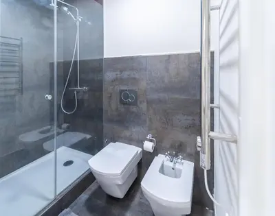 a bathroom with a toilet and a shower and a sink at Phoenix Luxury Loft Cádiz in Cádiz