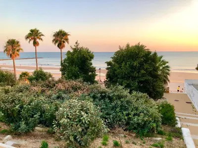 a view of a beach with palm trees and the ocean at GATU Villa Cielo y Mar junto la playa, terraza , wifi y vista al mar ,