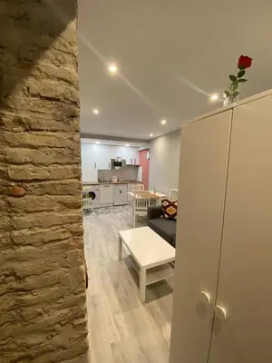 a living room and kitchen with a stone wall at Atico Loft The Rose 48 in Cádiz