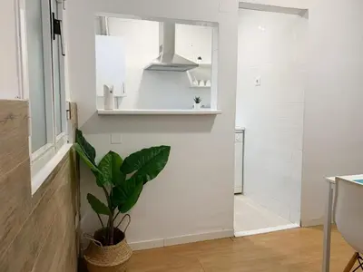 a bathroom with a potted plant on the wall at Apartamento Centro Costa de la Luz in Sanlúcar de Barrameda