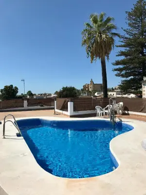 a swimming pool with a palm tree in the background at Apartamento San Juan, Parking privado in Jerez de la Frontera
