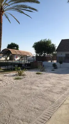 a beach with a palm tree and a building at Villas Santa Ana in Conil de la Frontera