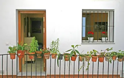 a bunch of potted plants on a fence at DescubreHome Playa de la Caleta in Cádiz