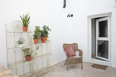 a room with a chair and shelves with plants at El ático de los mosaicos in Cádiz