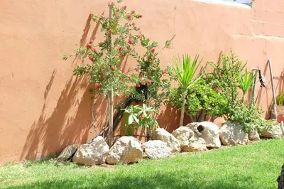 a garden with rocks and plants next to a wall at Loft con Piscina ADULTS ONLY in Chiclana de la Frontera