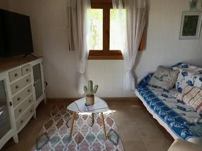 a living room with a couch and a cactus on a table at Villa Ada con Piscina, Jardin y Parking 9,3 in Chiclana de la Frontera
