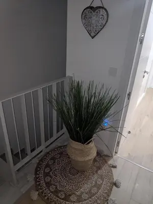 a plant in a vase sitting on a rug at CASA LA PLAYA-CONIL Vacaciones de Lujo en Conil con Todas las Comodidades NETFLIX-HBO-DISNEY-CANALES DE FUTBOL-WIFI ALTA VELOCIDAD-SMART TV 65