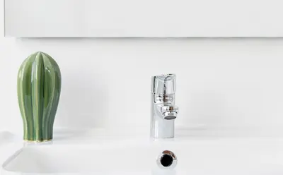 a sink with a faucet and a cactus next to it at APARTOYOU PREMIUM - Apartamentos Casa Linares in El Puerto de Santa María