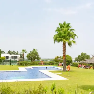 Flamingo Golf B