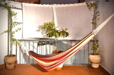 a hammock sitting on a balcony with potted plants at La Puerta Azul in Bornos