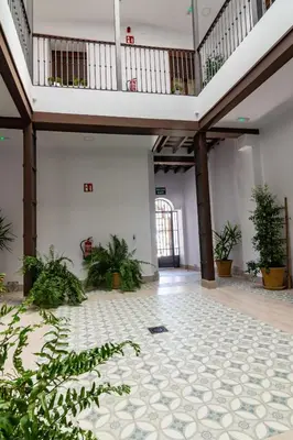 a large white room with plants on the floor at Apartamentos Turísticos Mamelón in Jerez de la Frontera