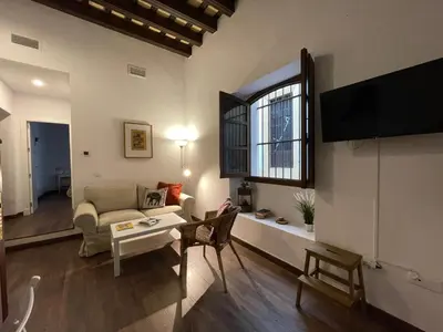 a living room with a couch and a tv at Apartamentos Turísticos Mamelón in Jerez de la Frontera