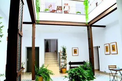 an internal view of a building with plants at Apartamentos Turísticos Mamelón in Jerez de la Frontera