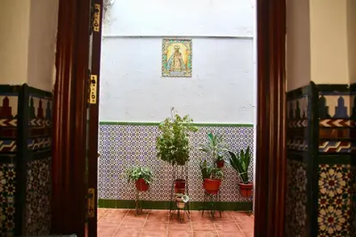 an open door with potted plants on a wall at Apartamento Oh Cádiz in Cádiz