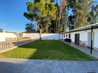 a tree in a yard next to a building at Chalets Novo Sancti Petri in Chiclana de la Frontera