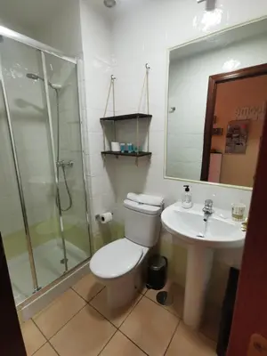 a bathroom with a toilet and a sink and a shower at El ático de los flamencos, Apartamentos Living Sur in Sanlúcar de Barrameda