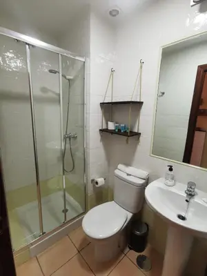 a bathroom with a shower and a toilet and a sink at El ático de los flamencos, Apartamentos Living Sur in Sanlúcar de Barrameda