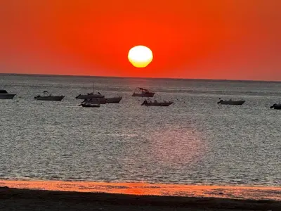 a group of boats in the water at sunset at Apartamento Campoamor in Sanlúcar de Barrameda