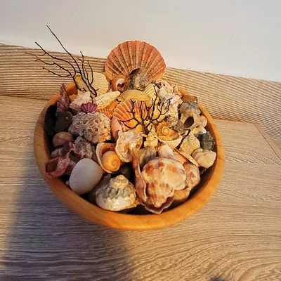 a wooden bowl filled with shells on a table at Cozy Chalet - playa a 200m in Chiclana de la Frontera