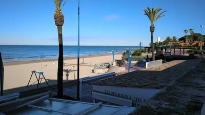 a view of a beach with palm trees and the ocean at Junto al Mar in Chiclana de la Frontera