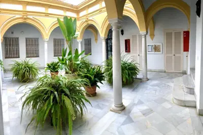 a courtyard with plants in a building with columns at GATU Villa Palma, aire acc y confort en el centro histórico, 