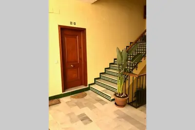 a hallway with stairs and a door and a potted plant at GATU Villa Palma, aire acc y confort en el centro histórico, 
