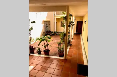 a hallway with potted plants in a building at GATU Villa Palma, aire acc y confort en el centro histórico, 