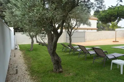 a group of tables and chairs next to a tree at EL ENCANTO Chiclana in Chiclana de la Frontera