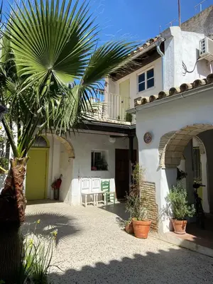 a palm tree in front of a white house at Casa Florinda #7 in Jerez de la Frontera
