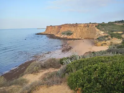 a sandy beach next to the ocean on a cliff at Enjoy Selecta Conil in Conil de la Frontera
