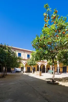 an orange tree in front of a building at Apartamento Historico Garaje y WIFI in Sanlúcar de Barrameda