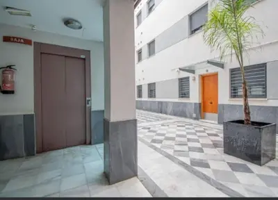 a palm tree in a pot on a checkered floor in a building at LA MÁS COQUETA, EN EL ADN DE CADIZ, in Cádiz