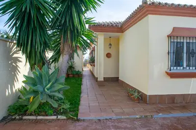 a house with a palm tree next to a sidewalk at Villa Elissa with 3 bedrooms andpool and views close to Conil in Cádiz