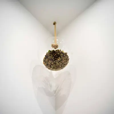 a light bulb filled with nuts on a stick at Santo Tomás A Ha Apartment in Cádiz